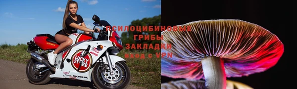прущие крисы Дмитриев