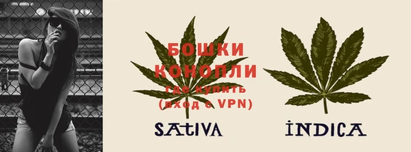прущие крисы Дмитриев