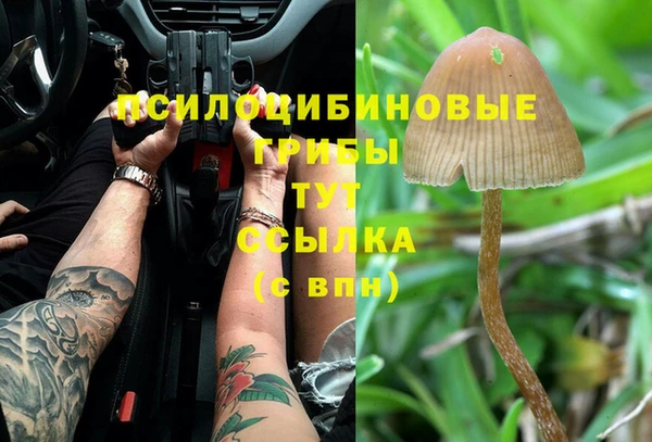 мдма Дмитров