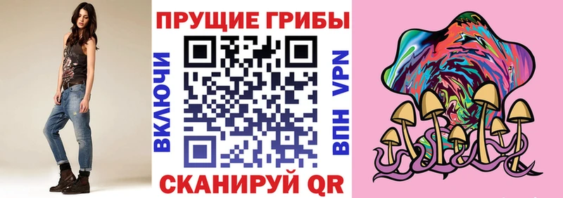 kraken Тюмень Псилоцибиновые грибы Cubensis